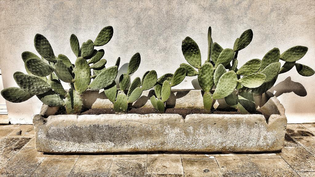 Masseria Carignani Tuglie Exterior photo